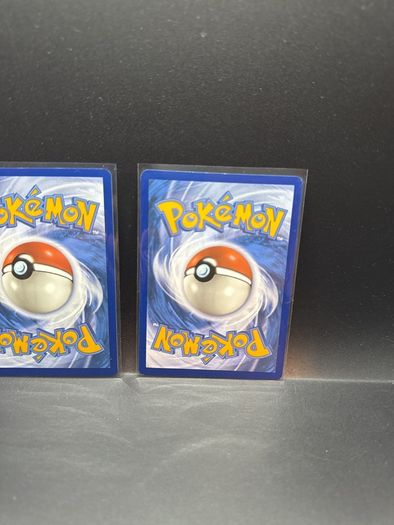 Druddigon Tg09/Tg30 | Houndour 204/197 Pokemon Cards