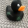 Collection of bath ducks New York New Zealand Bayern Munich Finland Image 8