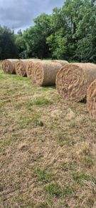 Organic meadow hay