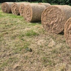 Organic meadow hay