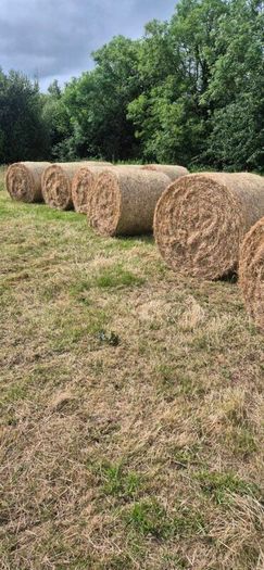 Organic meadow hay