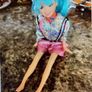 Barbie Type Doll . Image 5