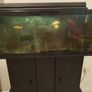 Free Fish Tank Image 5