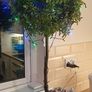 Plastic Tree Image 3
