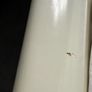 King Size Cream Wooden Sleigh Bef Image 6