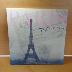 Paris Canvas