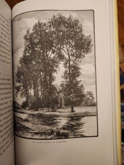 The Wild Garden. By William Robinson. Hardback With Dustjacket In Good Condition.