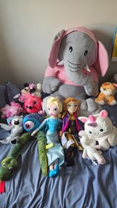 Teddies