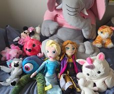 Teddies