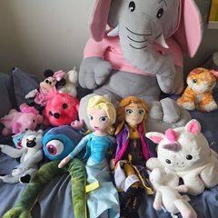 Teddies