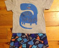 Age 3-4 Dinosaur Shortie Pyjamas