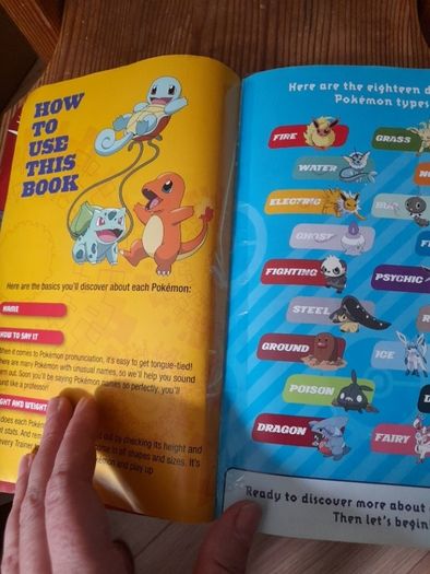 Pokemon Deluxe Essential Handbook