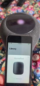 Apple Ipod +Apple Homepod