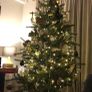 6.5 ft IKEA Christmas tree - decoration not included Image 4
