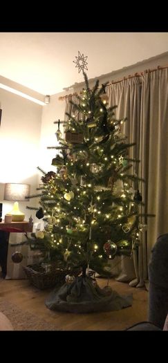 6.5 ft IKEA Christmas tree - decoration not included