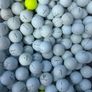 Prov1 Image 2
