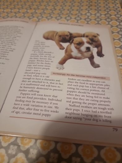 Pet Owners Guide to the Staffordshire Bull Terrier (Hardcover)