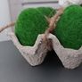Beautiful Home Decor (eggs)- New! Image 5