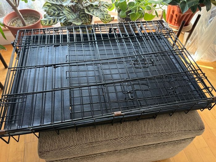 Dog crate with foam mattress