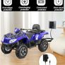 6V Battery Charger for Kids Electric Quad Bikes, 6V Charger for Ride on Toys, Car Universal Power Adapter with LED Indicator for Childs Electric Car, Motorcycle, Quad Bike, Sports Car Image 3
