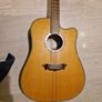 Washburn Acoustic guitar with Hiscox hardcase Image 10