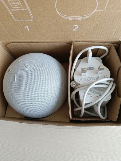 Alexa echo dot