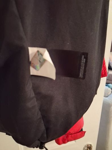 Northface Nuptse 700 jacket