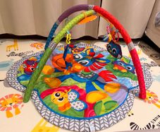 Baby Play Arch