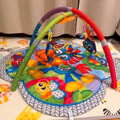 Baby Play Arch