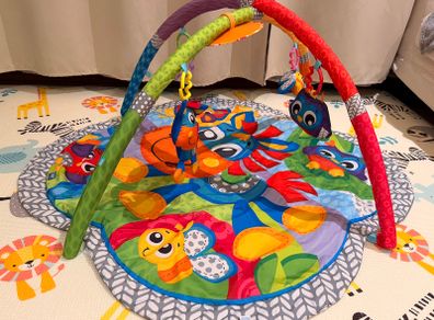 Baby Play Arch