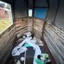 Horse Box Image 6