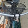 Bicycle Image 4