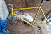 vintage bike frame
