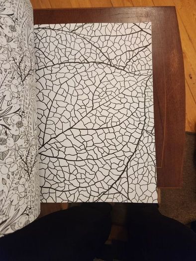 The Flowers And Nature Colouring Book.  Large Volume Paperback In Good Condition.