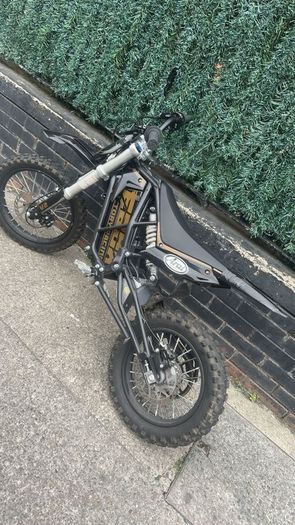 Electronic bike