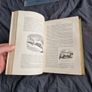 Wood's Natural History, 1893 ed. Incredible Condition. Image 6