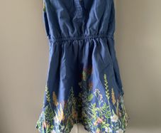 Blue with green buttons dress
