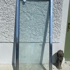 Chrome shower door