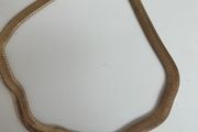 Gold Tone Necklace