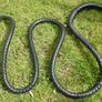 100" Plaits Genuine Top Grain Leather Heavy Duty Bullwhip Professional BULLWHIP Cracking Farm Gift , Fetish Toy Image 2