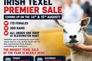 Texel Premier Sale