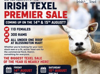 Texel Premier Sale