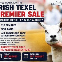 Texel Premier Sale