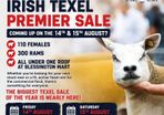 Texel Premier Sale