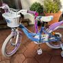 Frozen bike Image 2