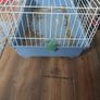 large guinea pig cage Image 2