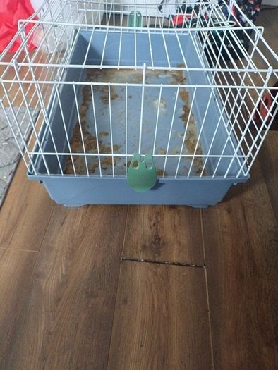 large guinea pig cage