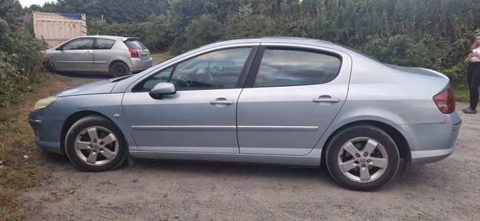 2009 Peugeot 407