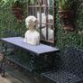 Home and garden mirror Image 10