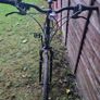 Adult Bike Image 5